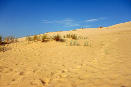 Sand dune sand beach atlantic coast