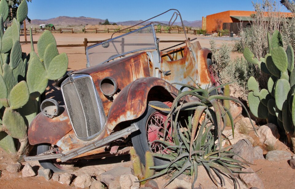 Old car cactus rust