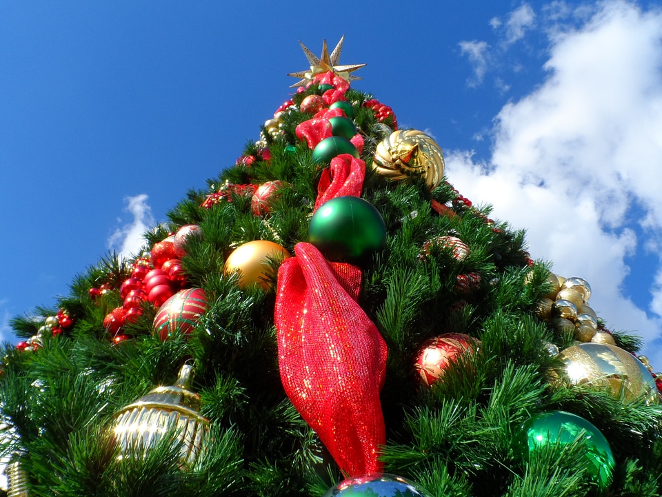 Xmas green x-mas