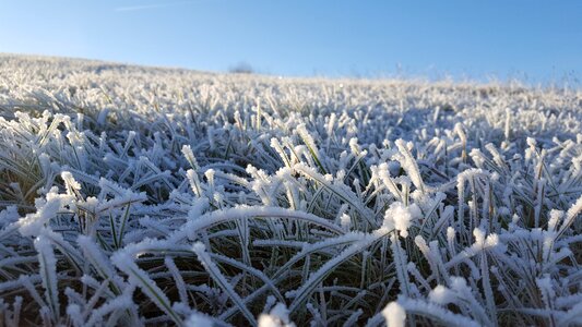 Winter frost morning