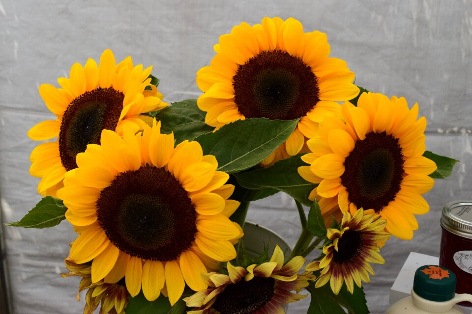 Floral summer yellow