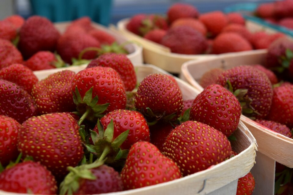 Food red fresh