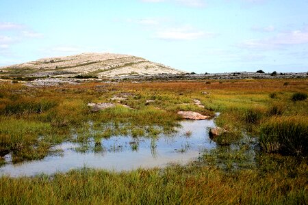 Landscape limestone karst