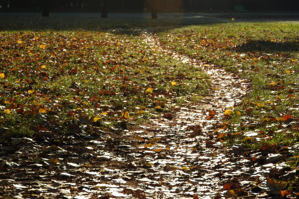 Autumn autumn park romantic