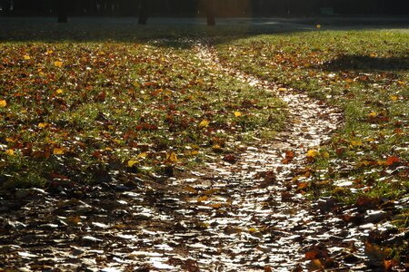 Autumn autumn park romantic