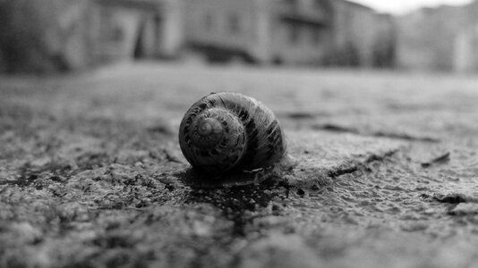 Borgo floor slowness