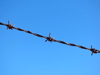 Barbed metal wired photo