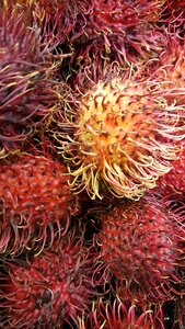 Food tropical delicious