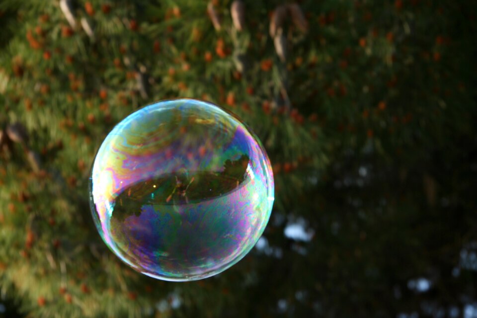 Soap bubble colors photo
