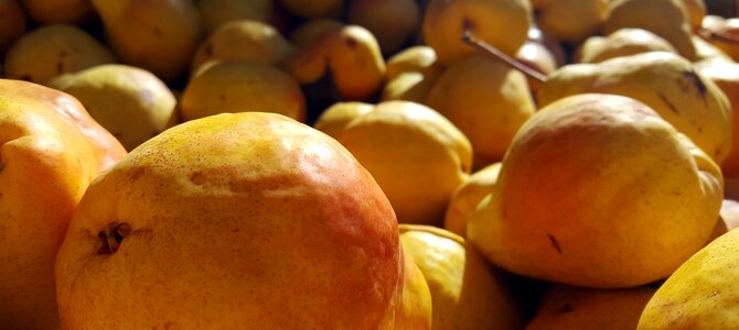 Fresh healthy nutrition
