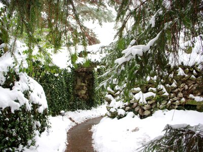 Winter religion our lady of lourdes photo