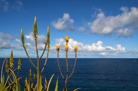 Blue outlook coast