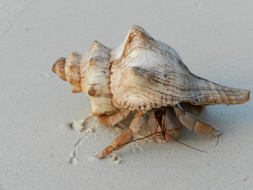 Residents coast beach