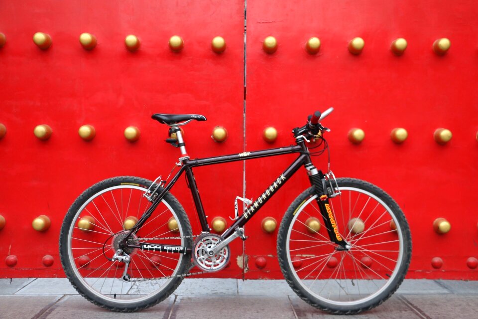Mountain bike forest of steles chinese antiquity