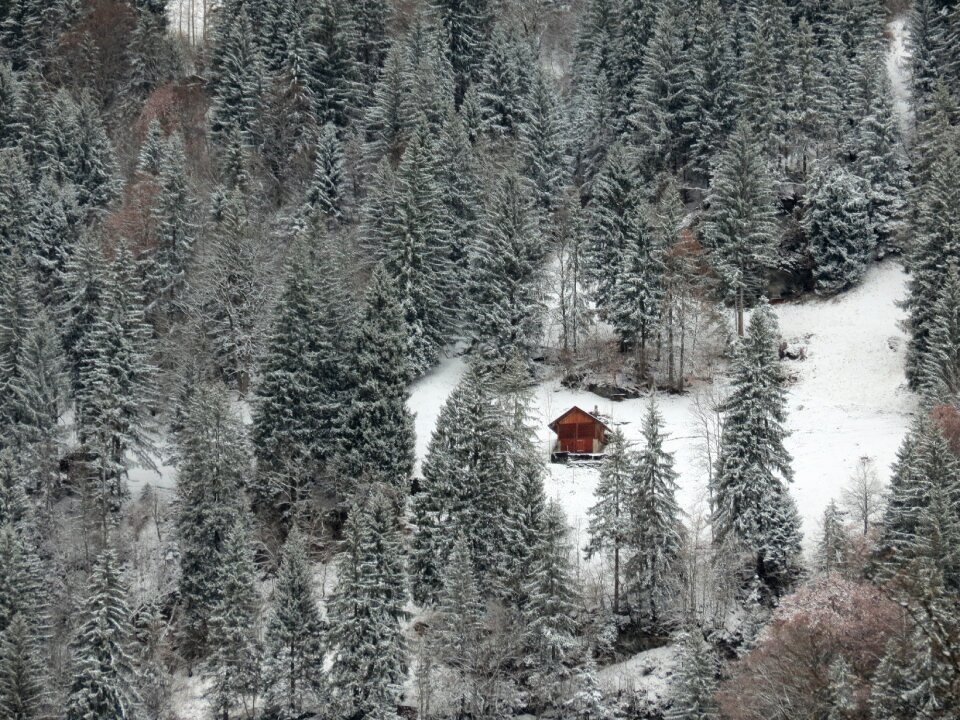 Nature snow panorama