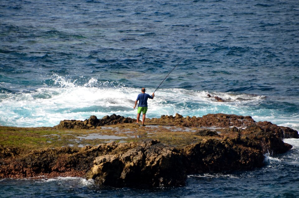 Fish vacations coast photo