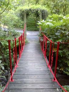 Shrubs path