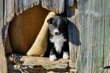Young outlook explore world