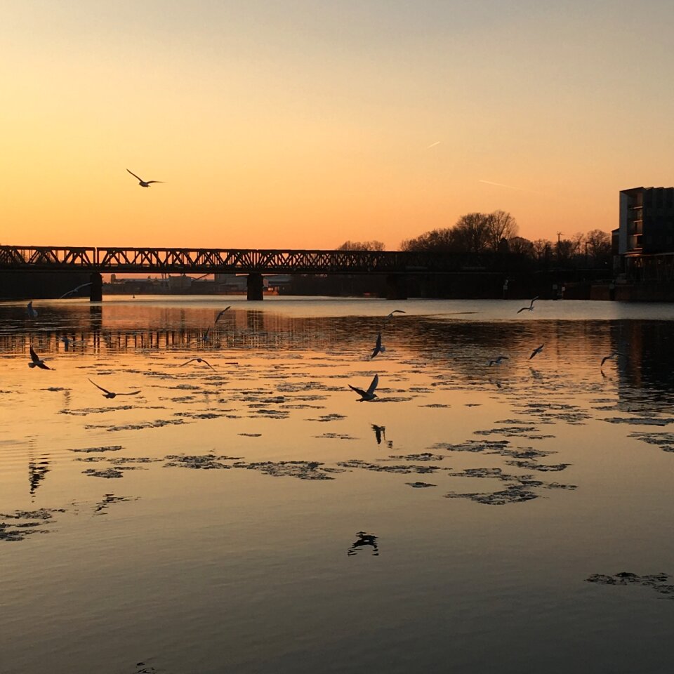 Abendstimmung sunset frankfurt