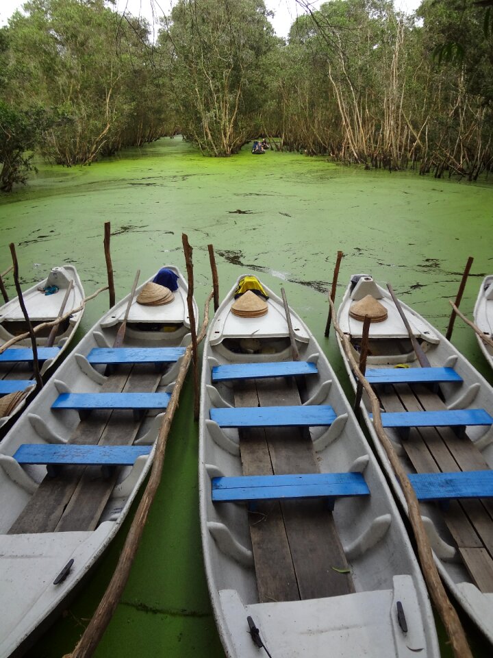 Vietnam nature vacations