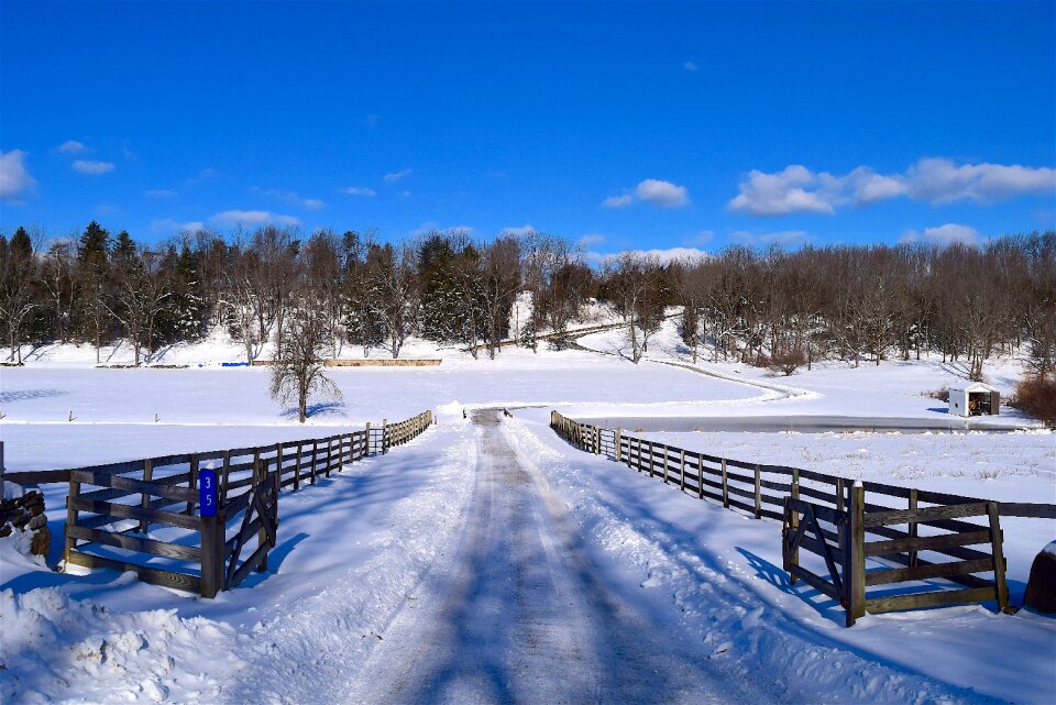 Winter cold white photo