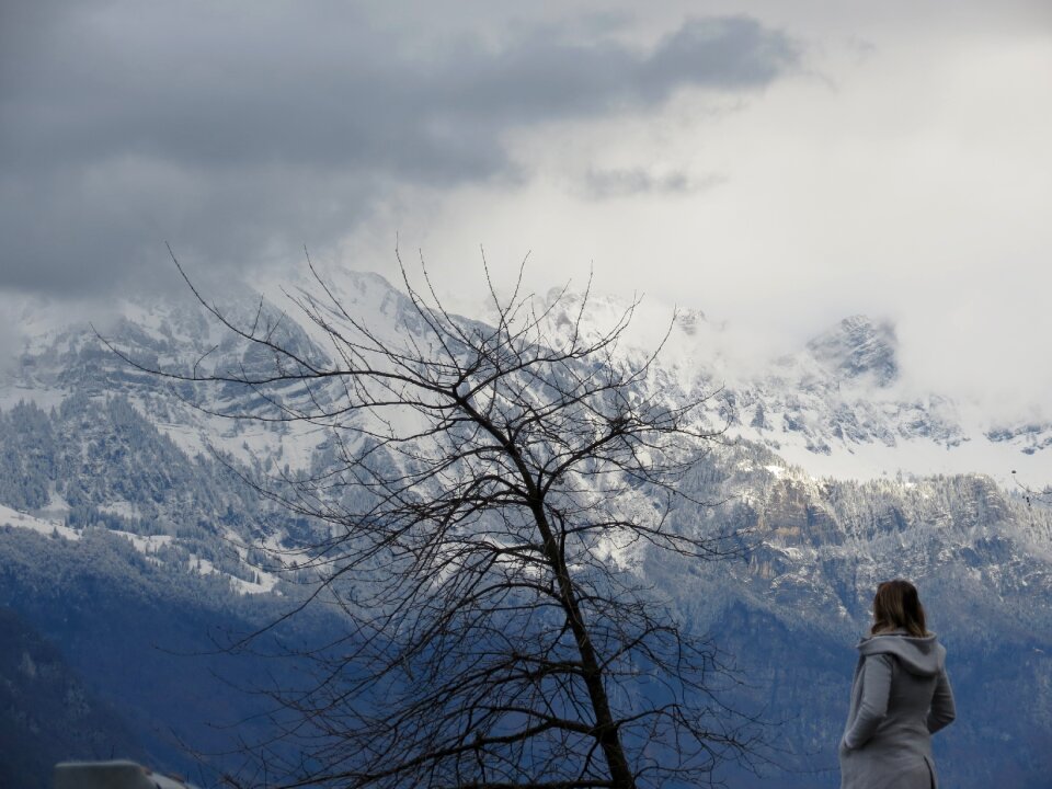 Nature snow panorama