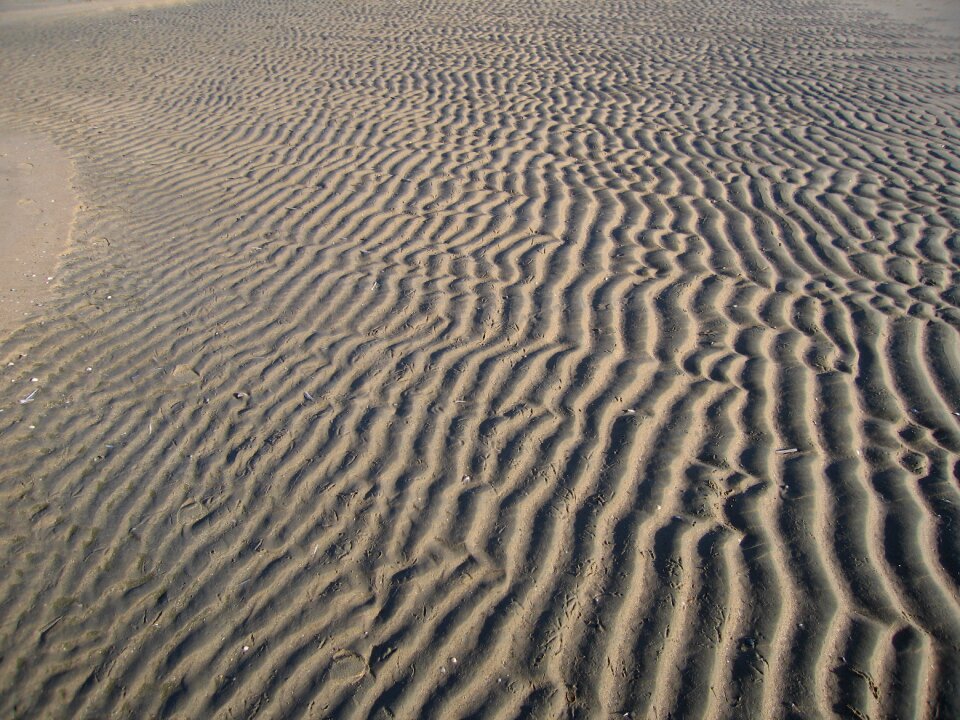 Beach sea nature