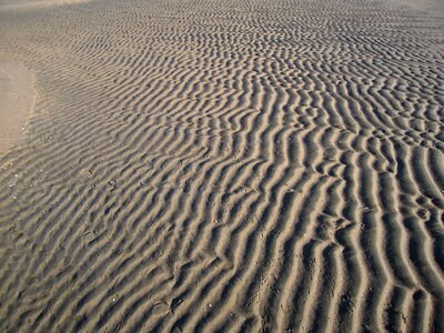 Beach sea nature