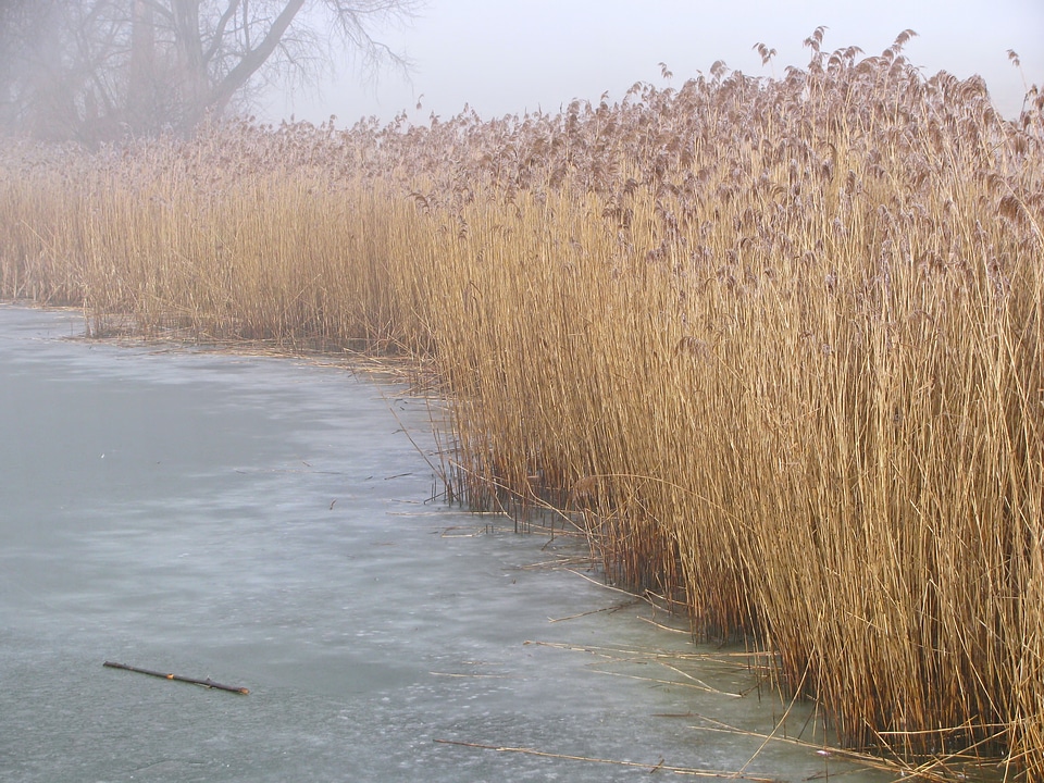 Wintry ice icy