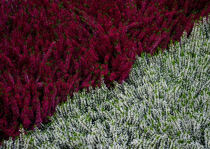 Pattern background plot
