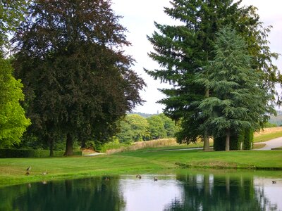 Green more nature