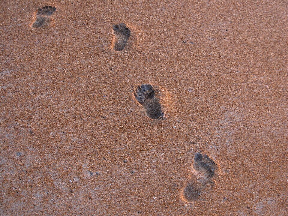 Sand foot summer photo