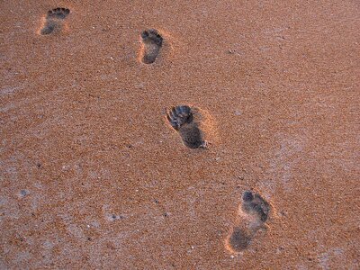 Sand foot summer photo