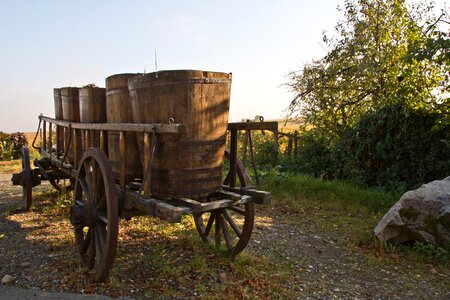 Wine growers winemaker hungary photo