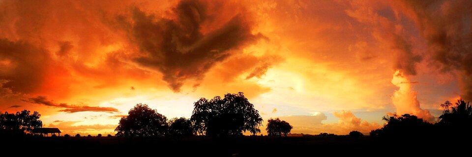 Sunset nature plain