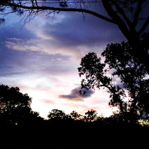 Sunset nature silhouette photo