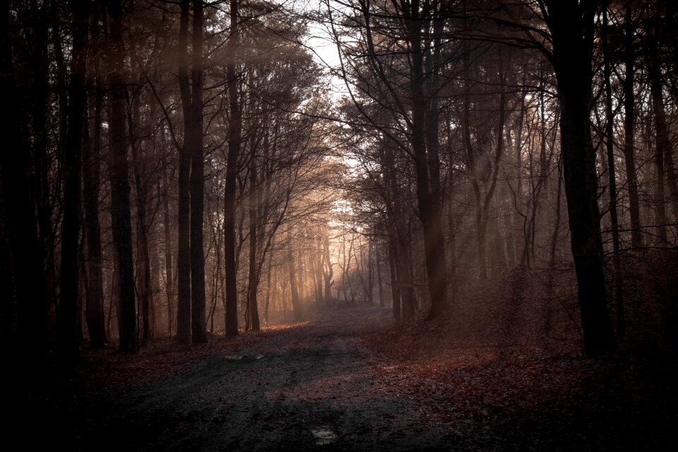 Landscape sunlight outdoor