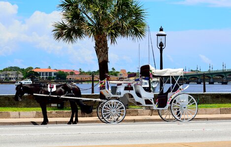 Tourism sight seeing carriage