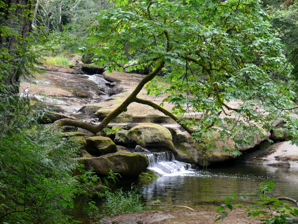 Scenic flowing green waterfall photo