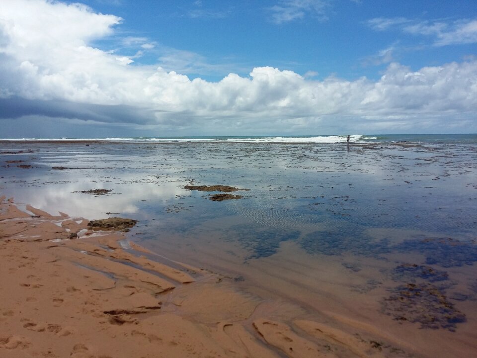 Brazil landscape sea