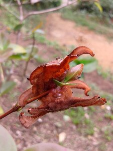 Nature animal biodiversity