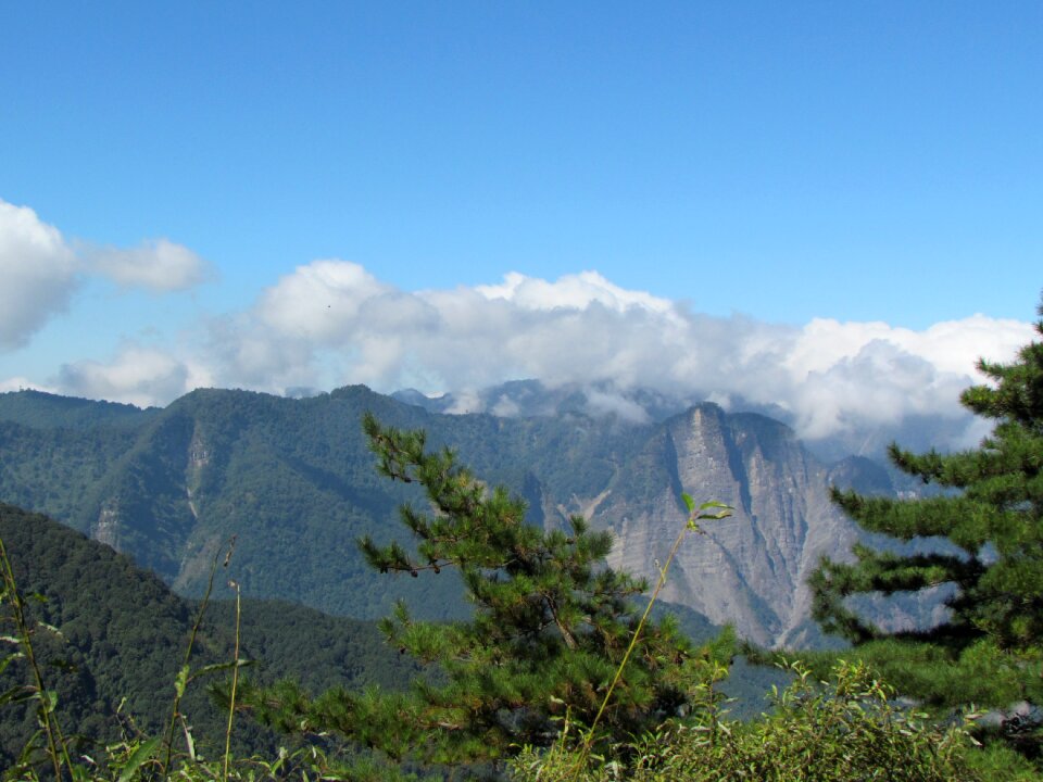 Alishan national park aoyama natural