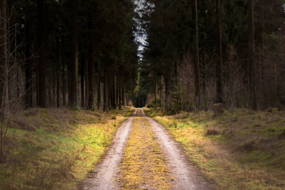 Landscape nature country