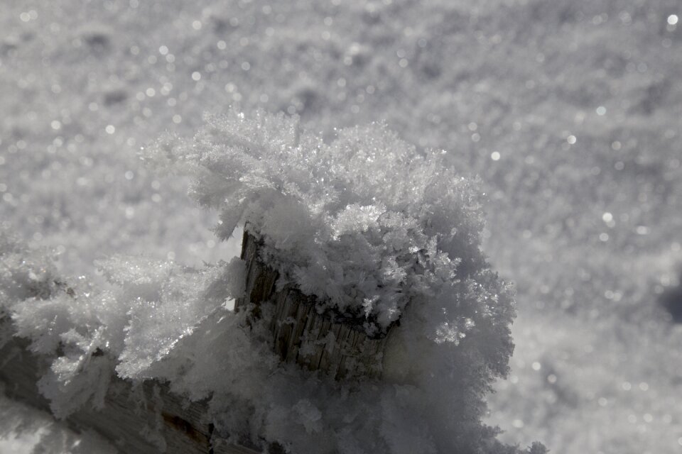 Winter sparkle crystals