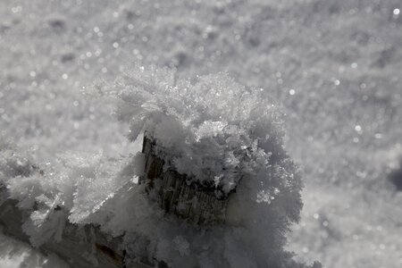 Winter sparkle crystals