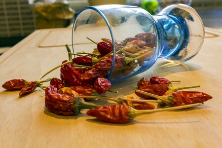 Food gastronomy foods