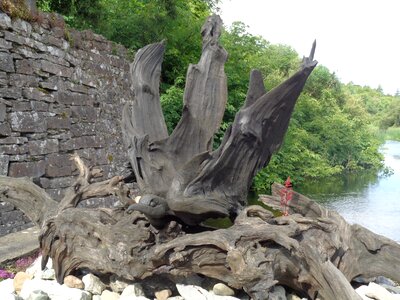 Ireland artwork wood bird