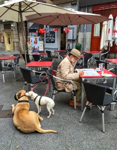 Newspaper pensioner stroll photo