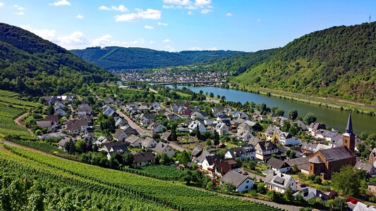 Germany wine vineyards