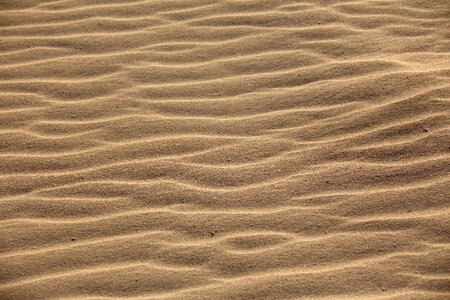 Desert dune hot photo